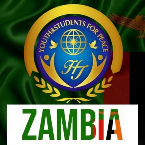 IAYSP partner logo