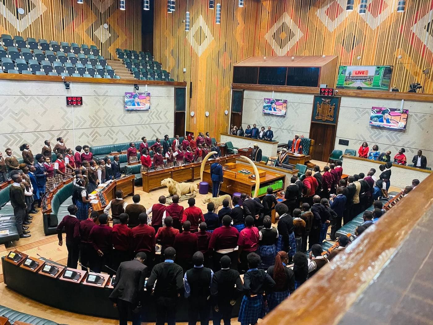 VSI civic engagement at Parliament